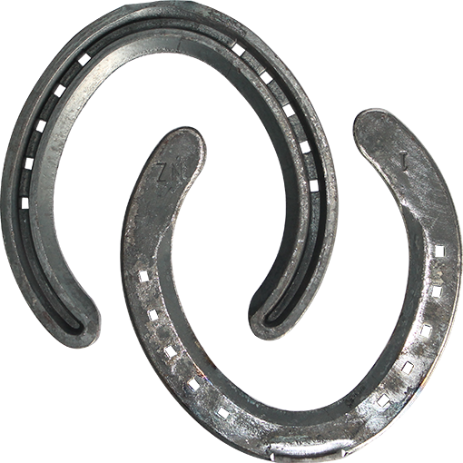 New Zealand Concave Toe-Clipped Hinds